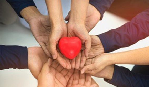 ��è����