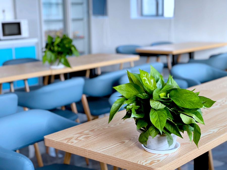 ��è����