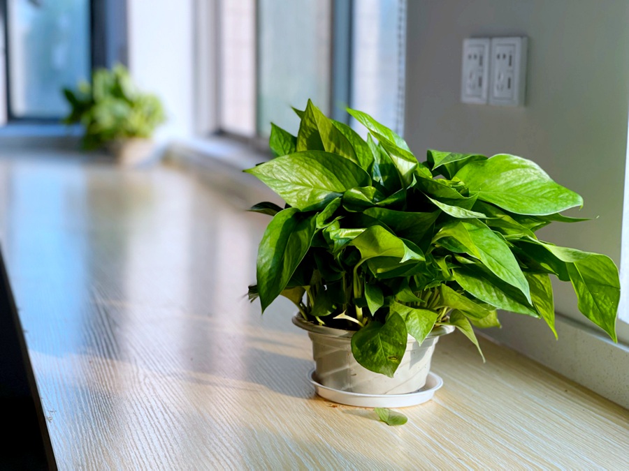 ��è����